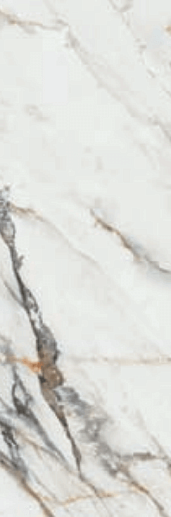Firenze 1219 Calacatta Gold 120x40 - фото 1