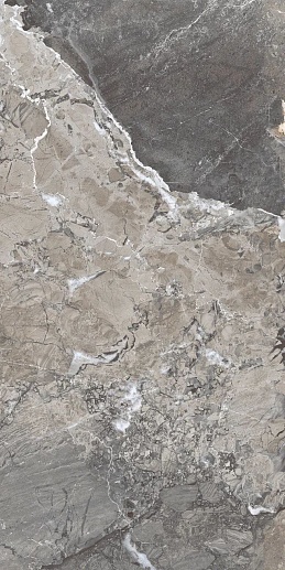 Fenice Natural Glossy 60x120 - фото 1