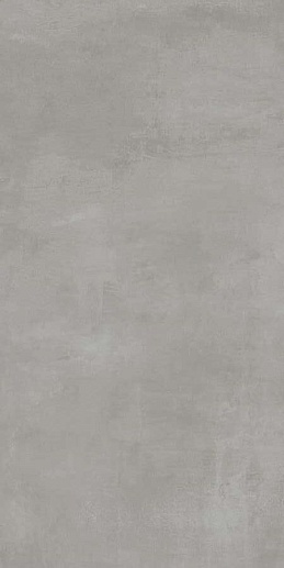 Rinascente Grey 60x120 - фото 1