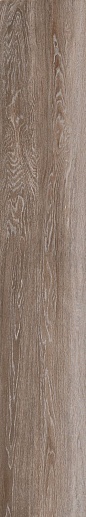 Legno 2012T RM 20x120 - фото 1
