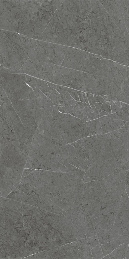 Skala Dark Grey K-2203/LR/600x1200x11 - фото 1