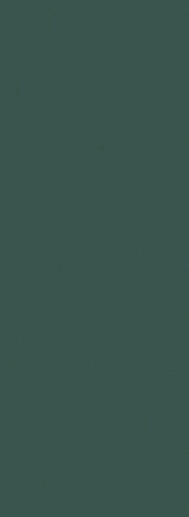 Boho Fashion Green 32.8x89.8 - фото 1