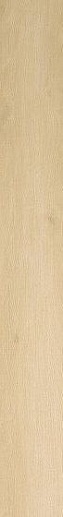 Nid Light 18.5x150 - фото 1