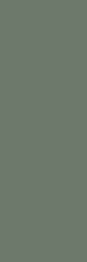 Nightwish Green Rekt. 25x75 - фото 1