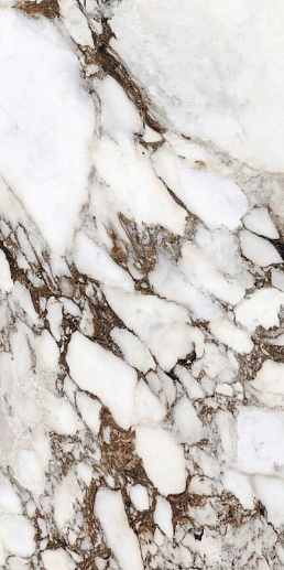 Les Bijoux de Rex Bijoux Breche Capraia Glo 120x240 - фото 1