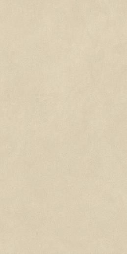 Boost Natural Pro Oat Matte 60x120 - фото 1