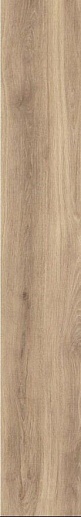 Alami Beige Str 19x 119.8 - фото 1