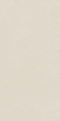 Argillae Neve 60x120 - фото 1