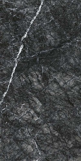 Ultra Marmi Grigio Carnico Lucidato Shiny 150x75 - фото 1