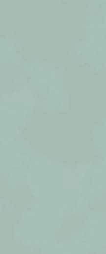 Boost Color Jade Matt 50x120 - фото 1