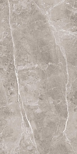 Obsidian Grey 60x120 - фото 1
