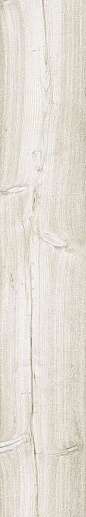 Lyptus Pine 20x120 - фото 1