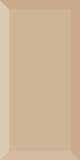 Biselado Beige Brillo 10x20 - фото 1