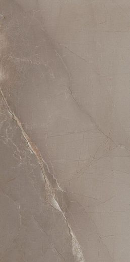 Passion Lux 90 Taupe 45x90 - фото 1