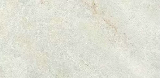 Omega White 60x120 - фото 1
