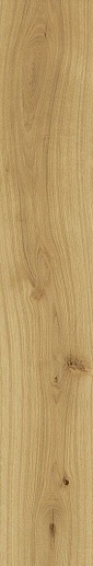 Exence Almond 20x120 - фото 1