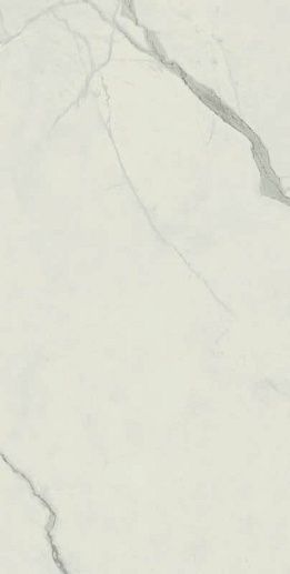 Empire Statuario Rett 80x160 - фото 1