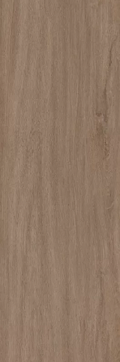 Legno Venezia Rovere R10 300x100 - фото 1