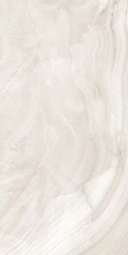 Onyx Safari Glossy 60x120 - фото 1