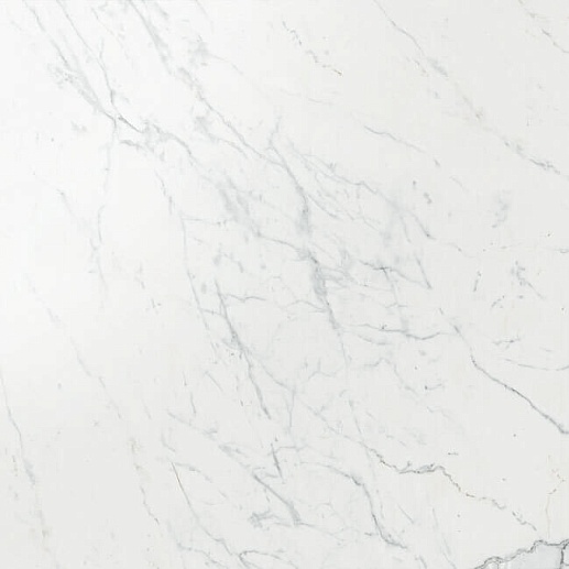 Marvel Wall Calacatta Extra 120x120 Lapp - фото 1