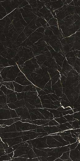 Allure Imperial Black 60x120 - фото 1