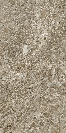 Lunar Brown 60x120 - фото 1