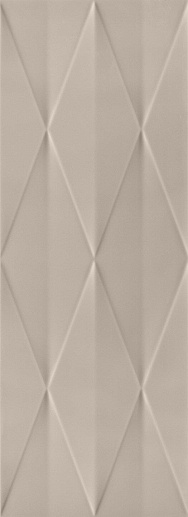 Tonara Grey A Str 32.8x89.8 - фото 1
