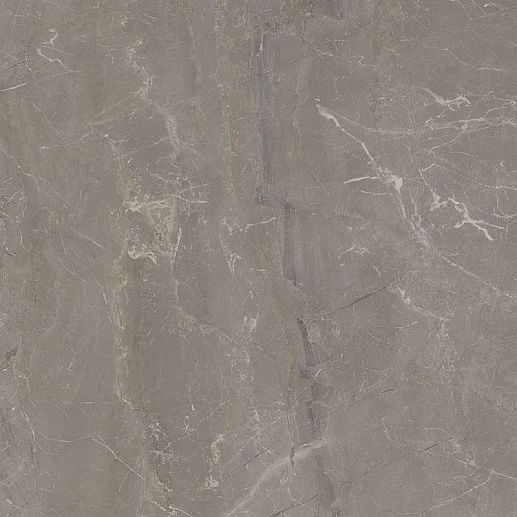 Wonderstone Light Grey Poler 59.8x59.8 - фото 1