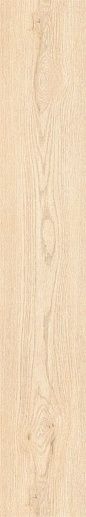 Box Wood Crema 20x120 - фото 1