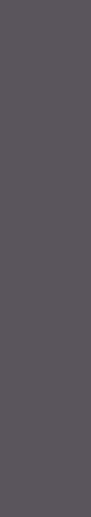 Atelier Layers 2 20x100 - фото 1