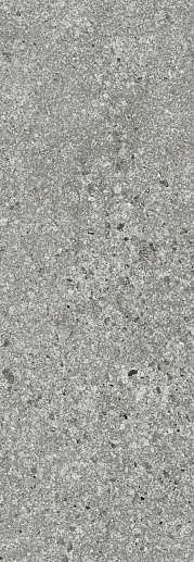 Lunario Silver 24.2x70 - фото 1