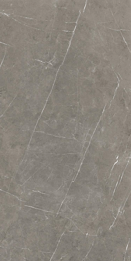 Tessino Grey Pulido 60x120 - фото 1