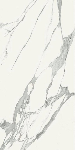 Specchio Carrara A Pol 119.8x239.8 - фото 1
