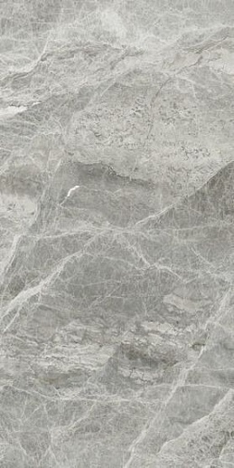 Silver Grey Pol 60x120 - фото 1