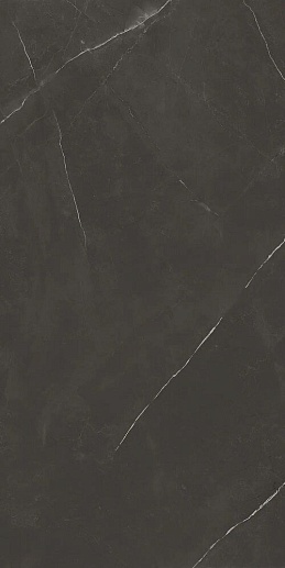 Stone Pietra Active Black 60x120 - фото 1