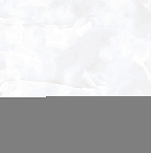 Italica 60x60 Coin White Glossy - фото 1