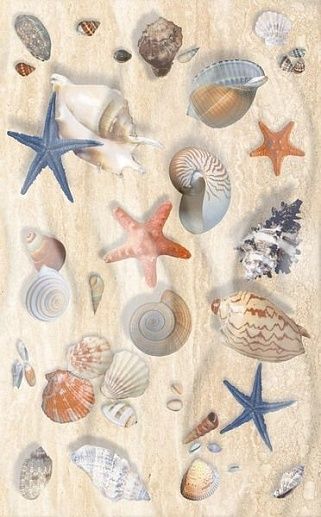 Аликанте Морские звезды 25x50 - фото 1