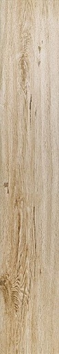 Root Vaniglia 20x120 - фото 1