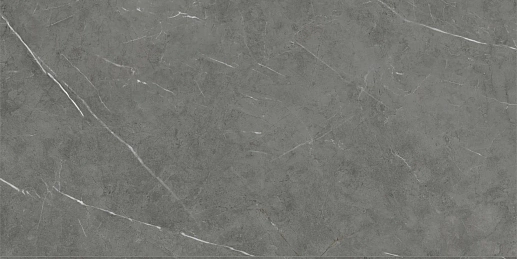 Tessino Grey Pulido 60x120 - фото 1