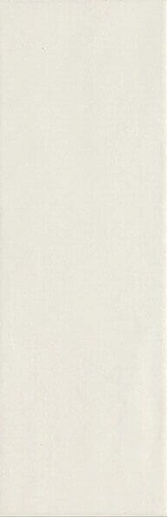 Maiolica Latte 10x30 - фото 1