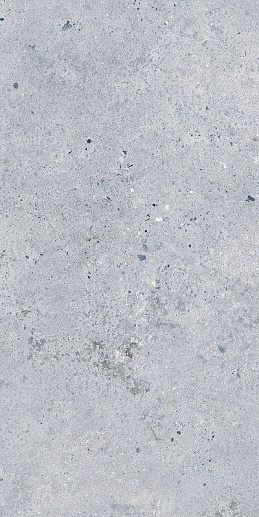 Leeds Gris 60x120 - фото 1