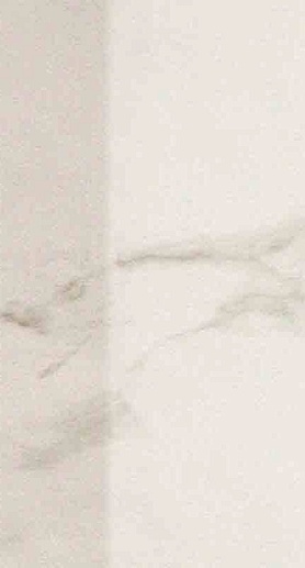 Roma Calacatta Alzata 17.5x25 - фото 1