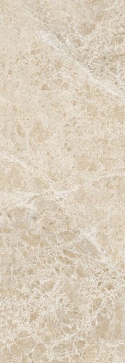 Insignia Emperador Beige Brillo 24.2x70 - фото 1