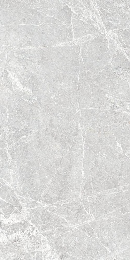 Marmostone Светло-серый 60x120 - фото 1