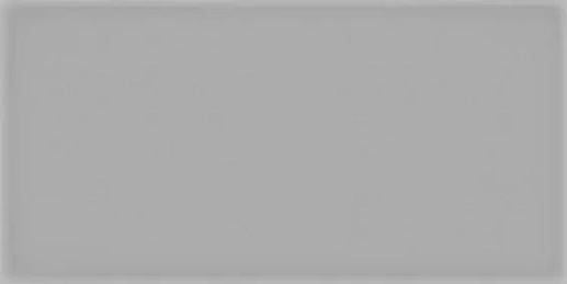 Corso Gris 10x20 - фото 1