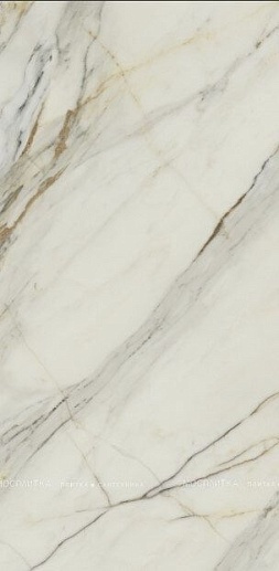 Marble Arch Арктик Годл Flpr 60x120 - фото 1