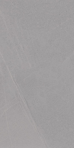 Seine R Gris 60x120 - фото 1