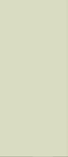 Art Deco Rivestimento Green Tea 12.5x25 - фото 1