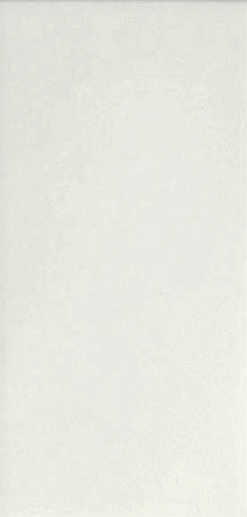 Artisan Blanco Mate 10x20 - фото 1