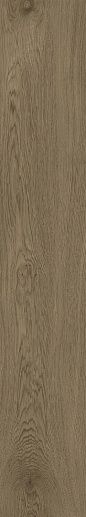 Dubrava Brown 20x120 - фото 1